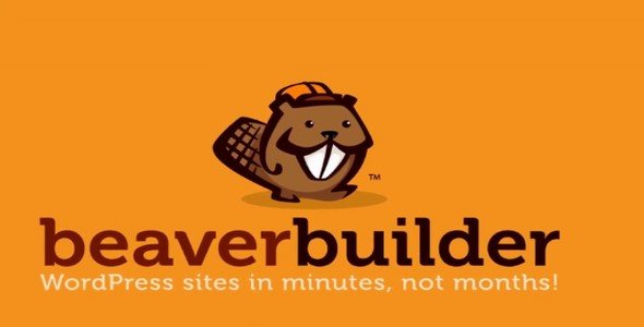 Beaver Builder Pro v2.9.2