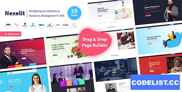 Nexelit v3.1.3 - Multipurpose Website &amp; Business Management System CMS - nulled