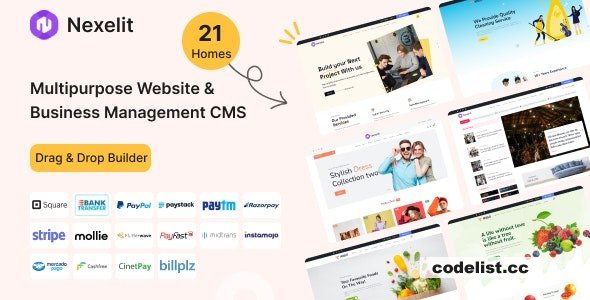 Nexelit v3.4.1 - Multipurpose Website CMS &amp; Business CMS - nulled