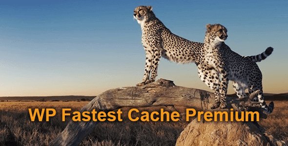 WP Fastest Cache Premium v1.5.9