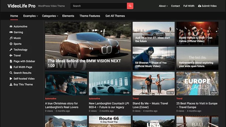 VideoLife Pro WordPress Theme v1.0.8