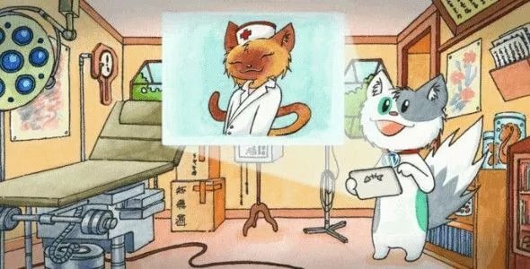 Meow Lightbox Pro v5.2.9