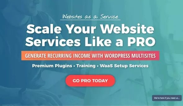 Waas.PRO Multisite WordPress Plugins