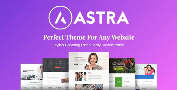 Astra Pro Addon - Perfect Theme for Any Website v4.11.6