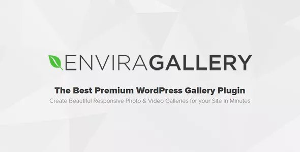 Envira Gallery Pro - Best Responsive WordPress Gallery Plugin v1.11.0