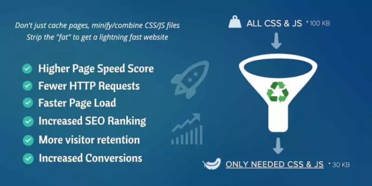 Asset CleanUp Pro - Performance WordPress Plugin v1.2.6.9