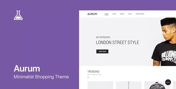 Aurum - WordPress &amp; WooCommerce Shopping Theme v4.0.6