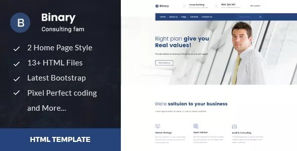 Binary - Business Consulting and Professional Services HTML Template
