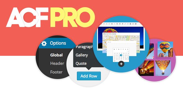 Advanced Custom Fields Pro v5.9.6