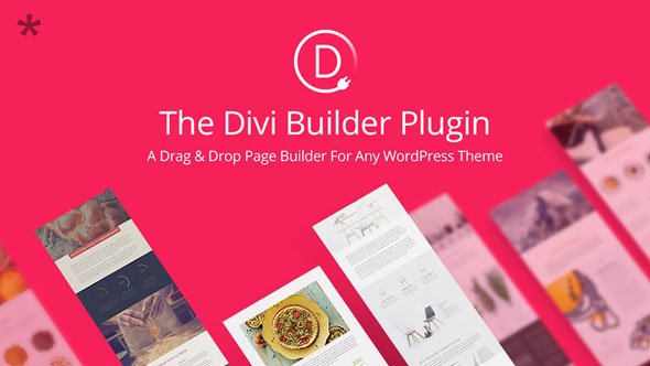 Divi Builder v4.6.5 - Drag & Drop Page Builder Plugin