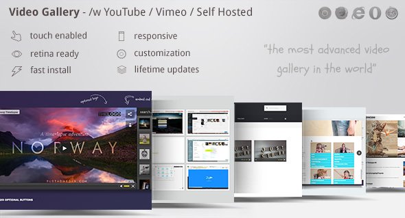 Video Gallery Wordpress Plugin /w YouTube, Vimeo v12.19