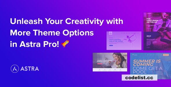 Astra Pro Addon v4.6.10 – Perfect Theme For Any Website