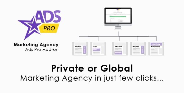 Ads Pro Add-on v1.9.7.1 - WordPress Marketing Agency
