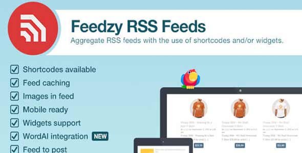 Feedzy v2.2.2 - RSS Feeds Premium WordPress Plugin
